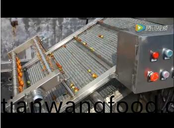 臨安市(shi)超越(yue)食品大棗(zao)清(qing)洗拋光(guang)風(fēng)(feng)榦(gan)線(xian)