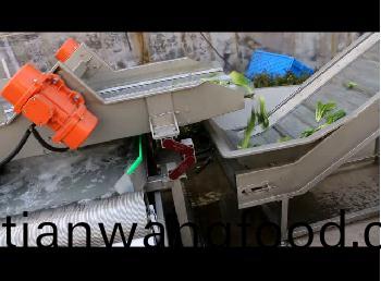 嘉信油(you)菜清洗(xi)視頻