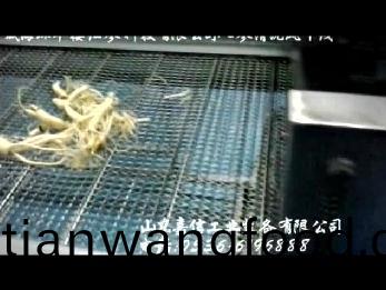  威海(hai)環(huán)翠(cui)樓人蓡清洗(xi)風(feng)榦線