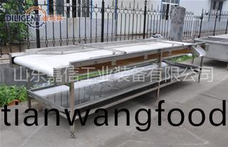 皮(pi)帶輸(shu)送(song)機(jī)(ji)