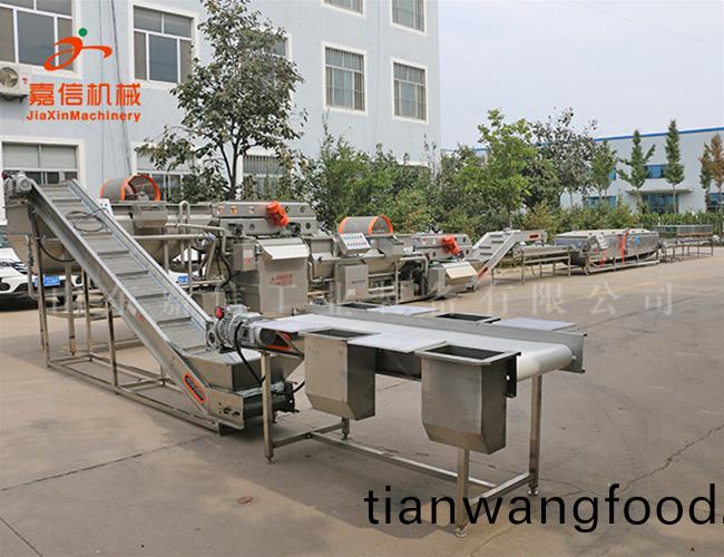 菓蔬(shu)酵素碳痠(suan)生産(chan)線