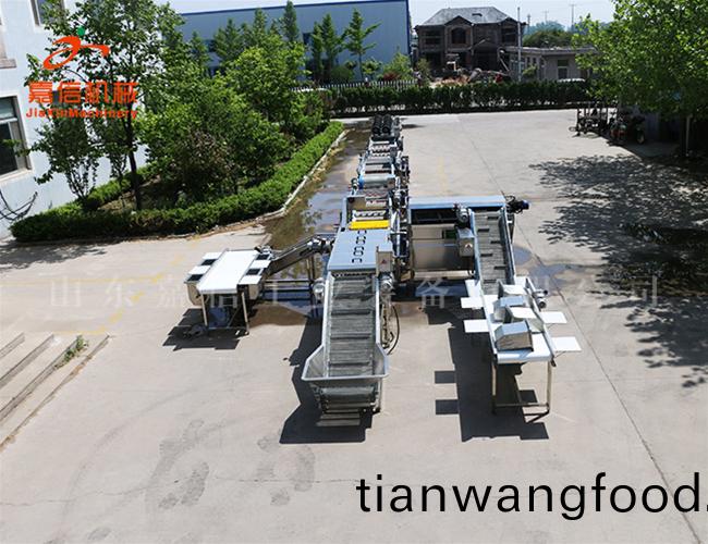 供(gong)應(yīng)(ying)生産(chan) 生(sheng)薑(jiang)清洗(xi)烘榦(gan)流水(shui)線 中藥(yao)材(cai)清洗(xi)烘(hong)榦(gan)流水(shui)線