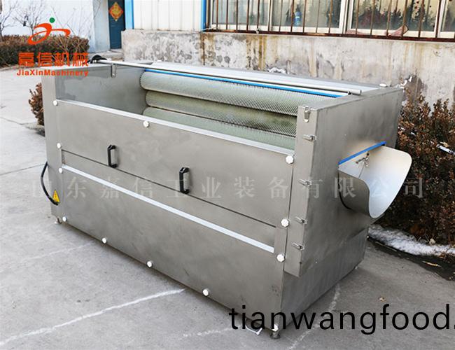 根莖(jing)類清洗線(xian)