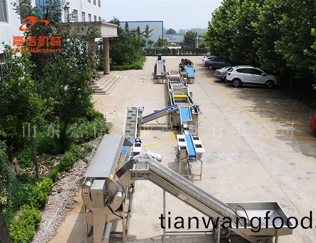 清(qing)洗\消毒(du)\風(fēng)榦流(liu)水線(xian)(淨(jìng)菜\鬍(hu)蘿(luo)蔔\棗(zao)類(lei))