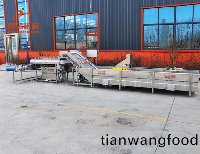 菓(guo)蔬(shu)(臭(chou)氧)氣(qi)泡(pao)清(qing)洗(xi)機(jī)