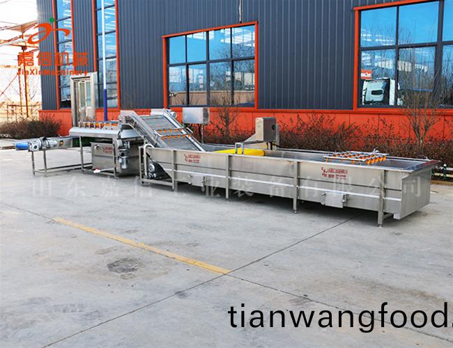 辢椒(jiao)清洗(xi)脫水流水線