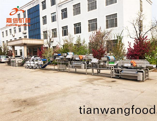 根(gen)莖清洗機(ji)