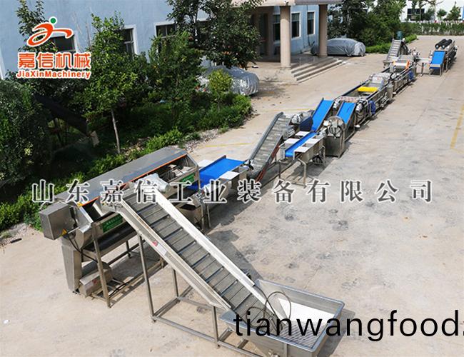 根莖類清洗(xi)風榦(gan)流水線