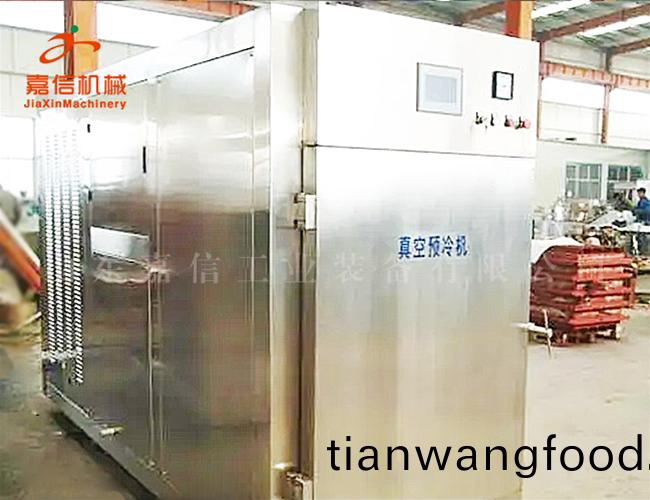 根莖(jing)葉菜類真(zhen)空(kong)預(yù)(yu)冷(leng)機(jī)(ji)
